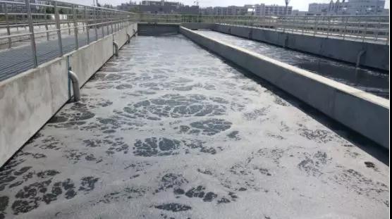 避免粪口传播！珠海污水处理启动“双保险”